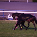 Photos: キタサンブラック ファンへ最後のお披露目を