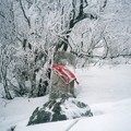 暑さ寒さも彼岸までまだあるわいな一切経　Jizō in the snow　　＊雪けぶりあげて朔風（きた）吹く山腹に捲かれて赤き涎掛け見ゆ