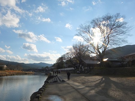 五十鈴川2