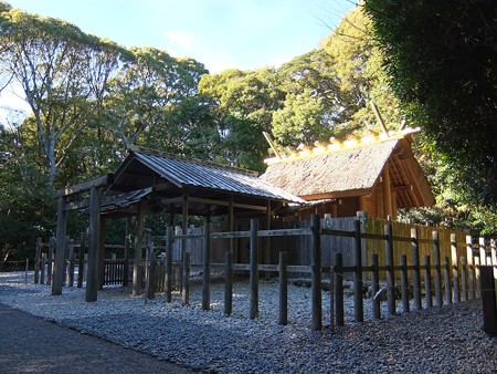 伊雑宮02 金色に輝く