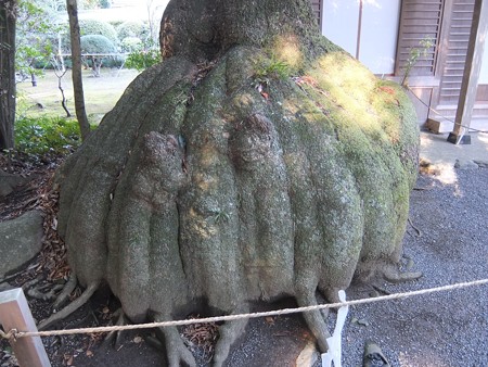 伊雑宮08 なんか守ってる?