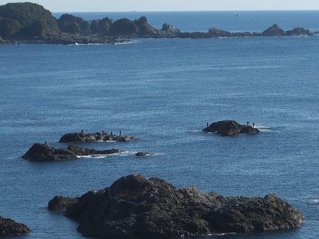 潮岬15 釣り人たち