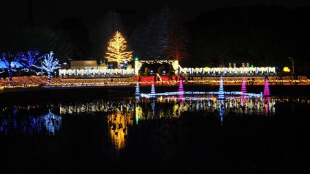 長居植物園ガーデンイルミネーション16