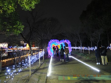 長居植物園ガーデンイルミネーション19