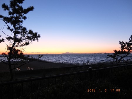 幕張の浜~20150103-09 富士山と松