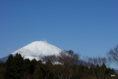 11-DSC02307