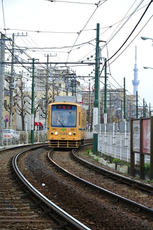 スカイツリーと都電7000系復刻色