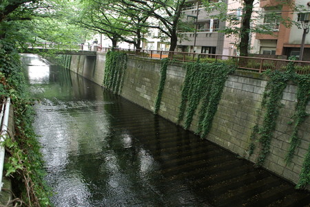 目黒川