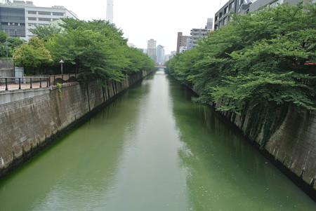 目黒川