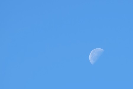2014.11.14　追分市民の森　月