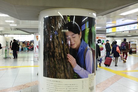 2015.01.01　東京駅　東北新幹線改札前