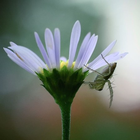 Image [3]