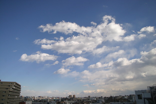 Photos: IMG_5315