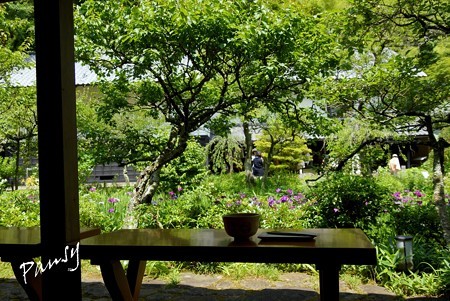 風待月の東慶寺・・35