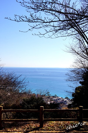 吾妻山公園-153
