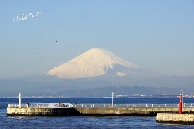 江の島-435