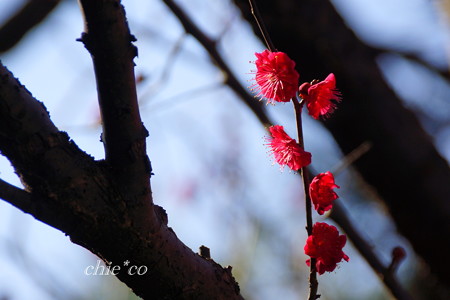 常立寺-121