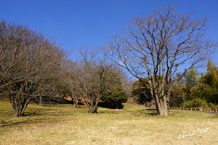 金沢自然公園-265
