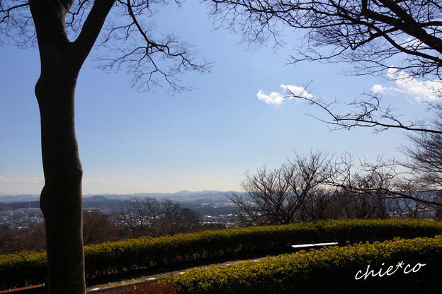 金沢自然公園-282