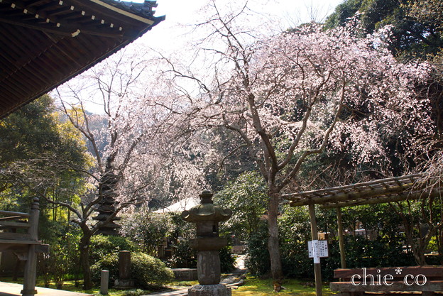 鎌倉-311