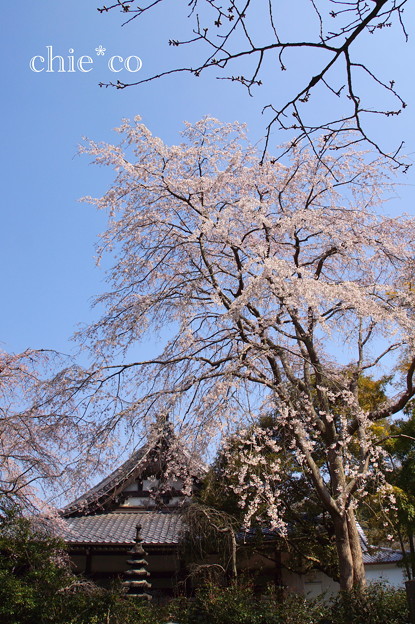 鎌倉-317