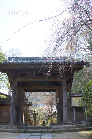 鎌倉-342