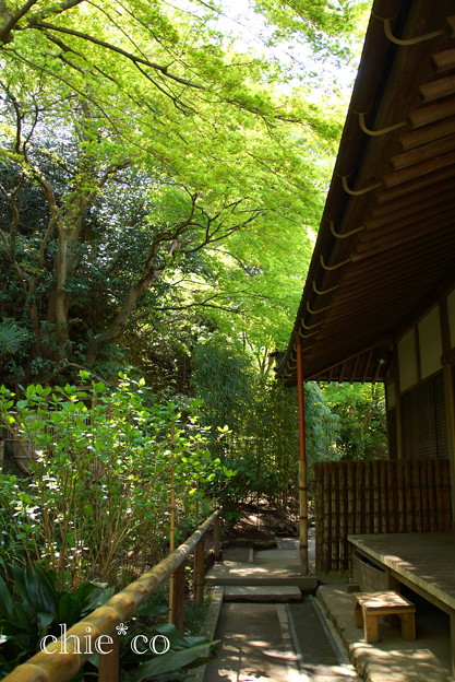 北鎌倉-430