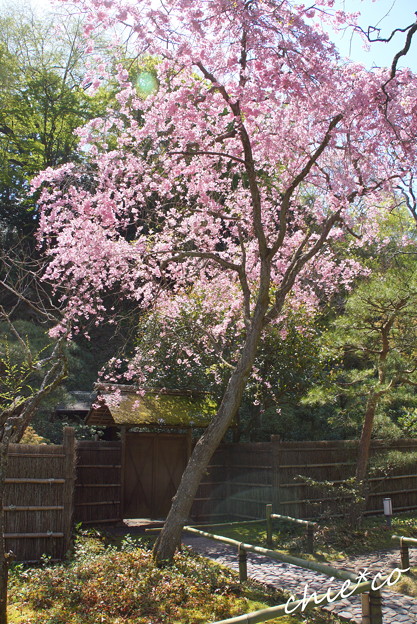 北鎌倉-446