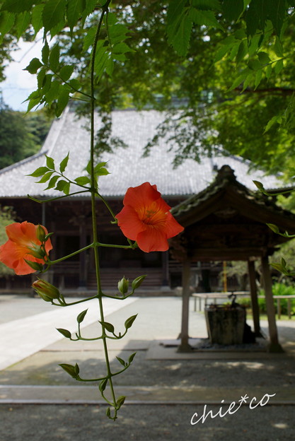 鎌倉-145