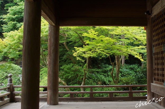 鎌倉-149