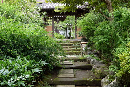 鎌倉-560