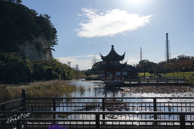 朝の池・・1