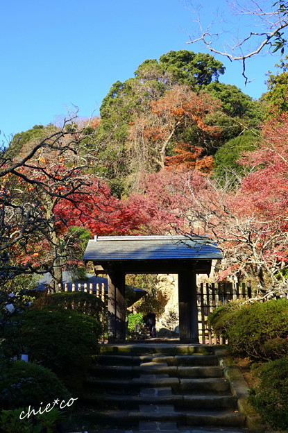 北鎌倉-127