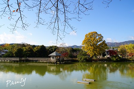 長岡天満宮にて・・2