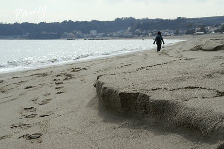 波が残した小さな崖・・