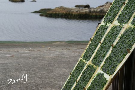 海苔を干す海辺・・