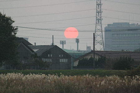 IMG_0587(1)