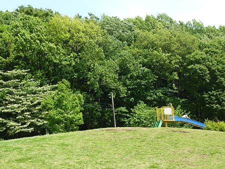 P1090062