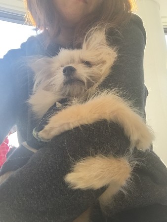 ここはどこ?何??状態のちー。