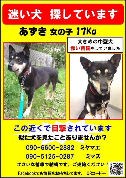 azuki4