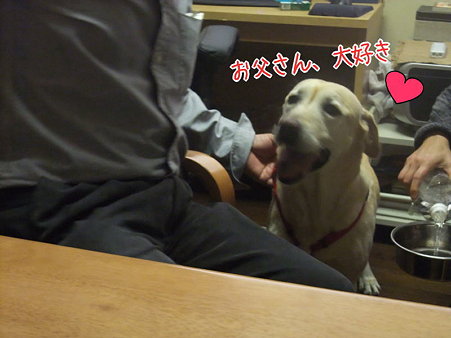 お父さん5