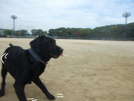 横フェイント