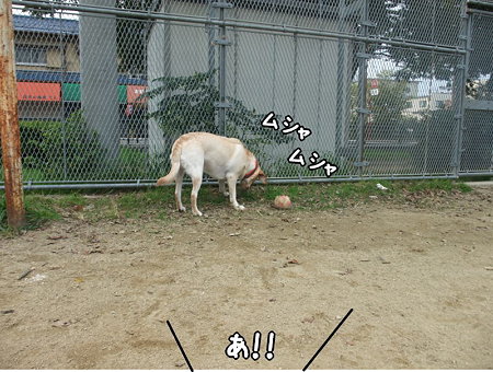 あ!!