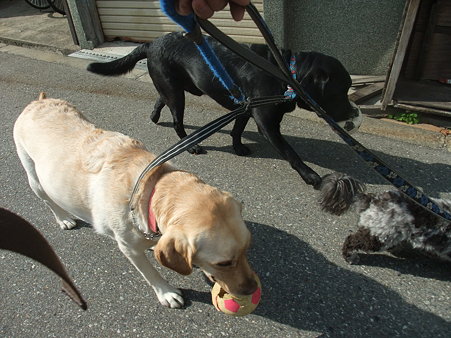 さすがにこの姿で歩けば