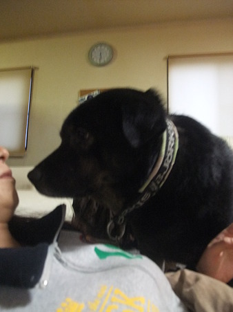 大輔さん・・・近いで