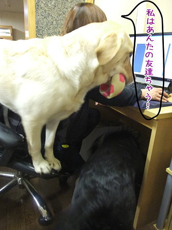 友達とちゃう