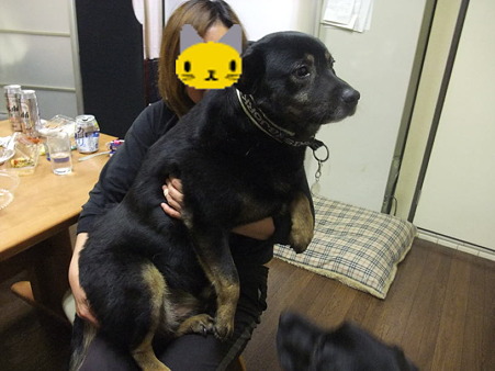 ちと固まる
