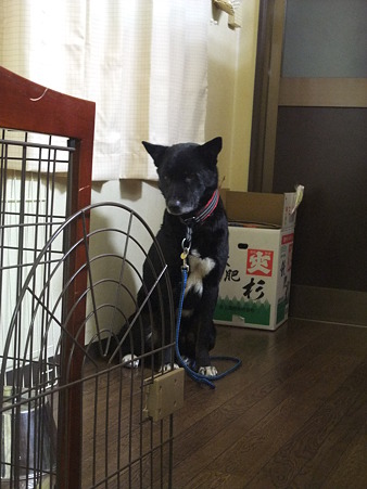 やっぱりココ・・・