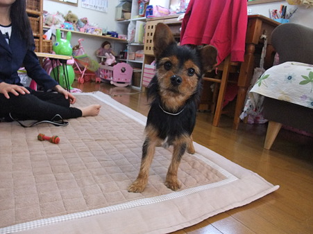 ここが来夢のホンマの居場所になるんやで