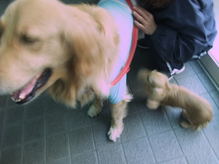 18日間お疲れ様でした